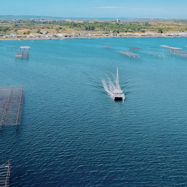 Visite des parcs à huites avec le Mansathau, étang de Thau, vue aérienne, drone, parcs à huîtres, bateau, sillage, lagune, paysage, activité conchylicole, nature, extérieur, horizontal, bateau
