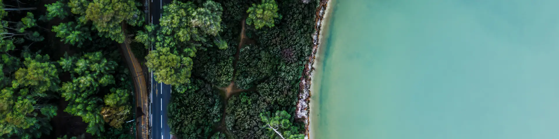 Le bois des Aresquiers,forêt, bois, étang, lagune, littoral, vue aérienne, drone, paysage, nature, eau, rive, berge, végétation dense, arbres, pinède, route, chemin, contraste, panorama, extérieur, ensoleillé, lumière naturelle, calme, sauvage,