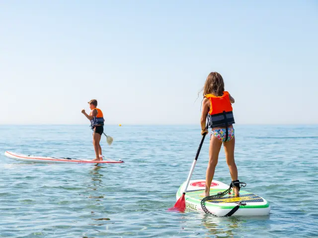 PADDLE