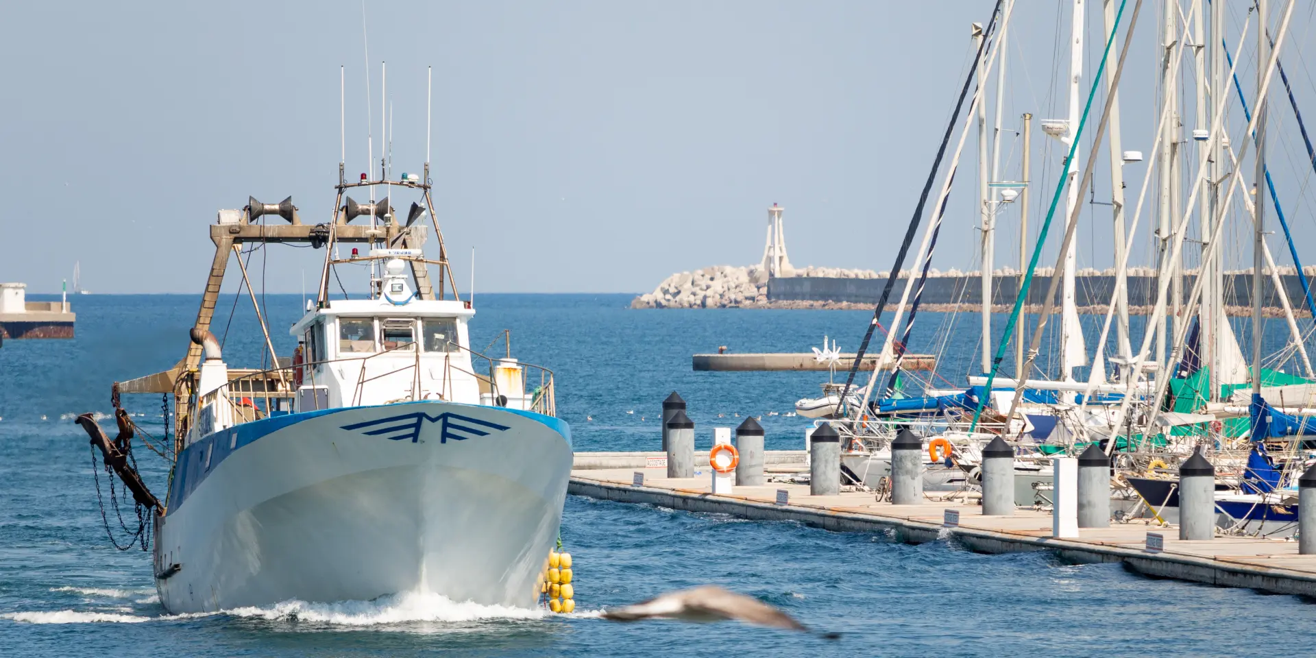 pêche, port, La criée, Sète