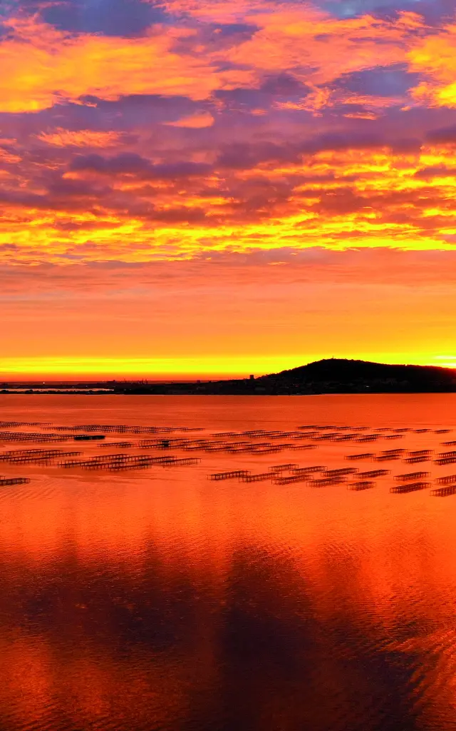 Coucher de soleil sur la lagune de Thau