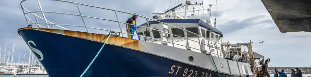 Retour de pêche, la criée de Sète