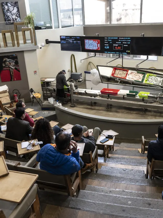Retour de pêche, salle des ventes la criée de Sète