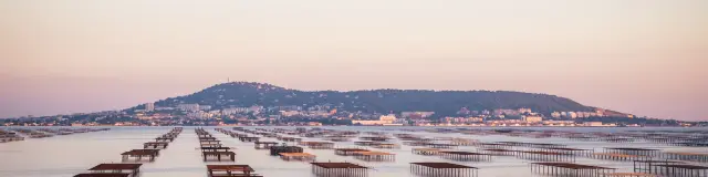 Vue des parcs à huitres et sur le Mont Saint-Clair, coucher de soleil