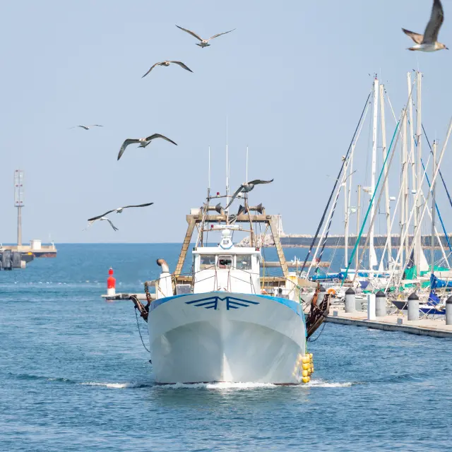 pêche, port, La criée, Sète
