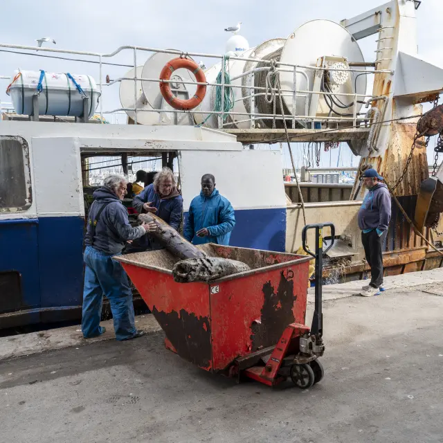 Retour de pêche, la criée de Sète