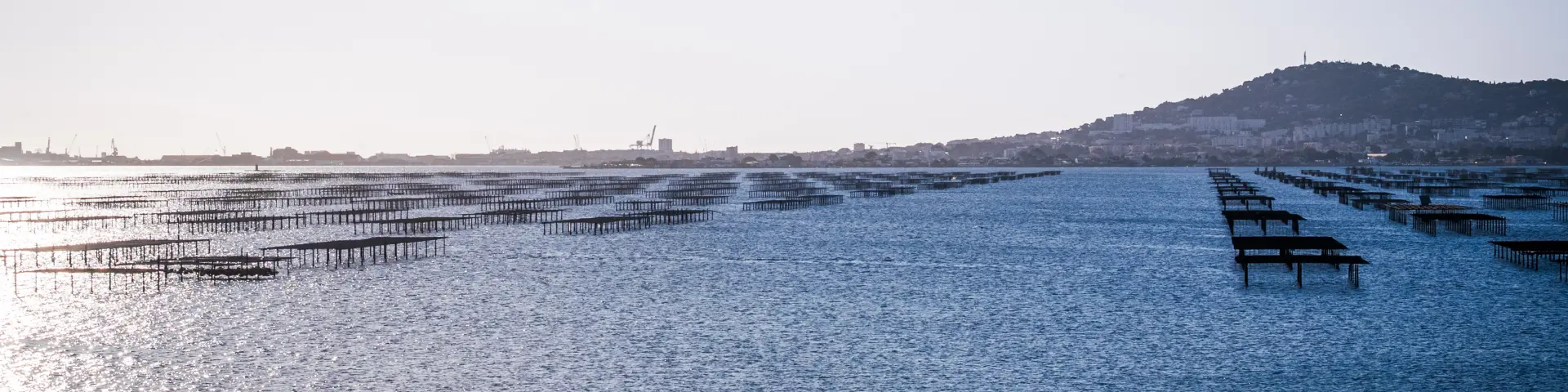 Conchyliculture, lagune, vue sur Saint-Clair
