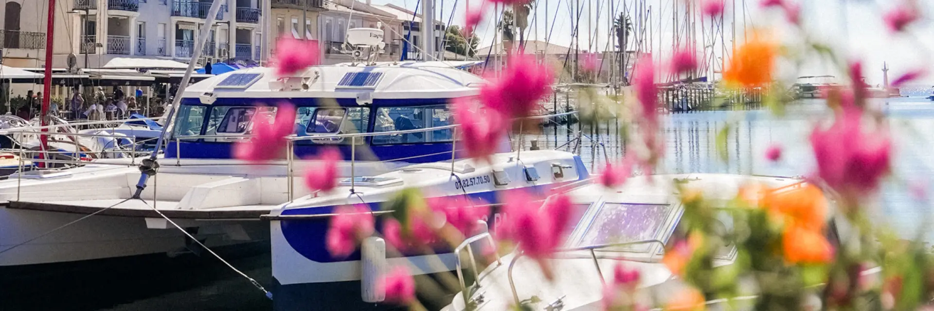 Visite des parcs à huites avec le Mansathau, Mèze, étang de Thau, port, bateaux, fleurs, végétation, premier plan, ville, quai, eau, paysage, tourisme, extérieur, vertical