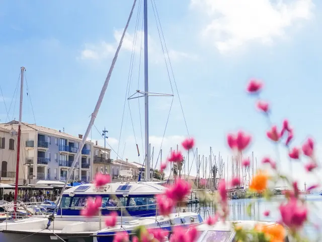 Visite des parcs à huites avec le Mansathau, Mèze, étang de Thau, port, bateaux, fleurs, végétation, premier plan, ville, quai, eau, paysage, tourisme, extérieur, vertical