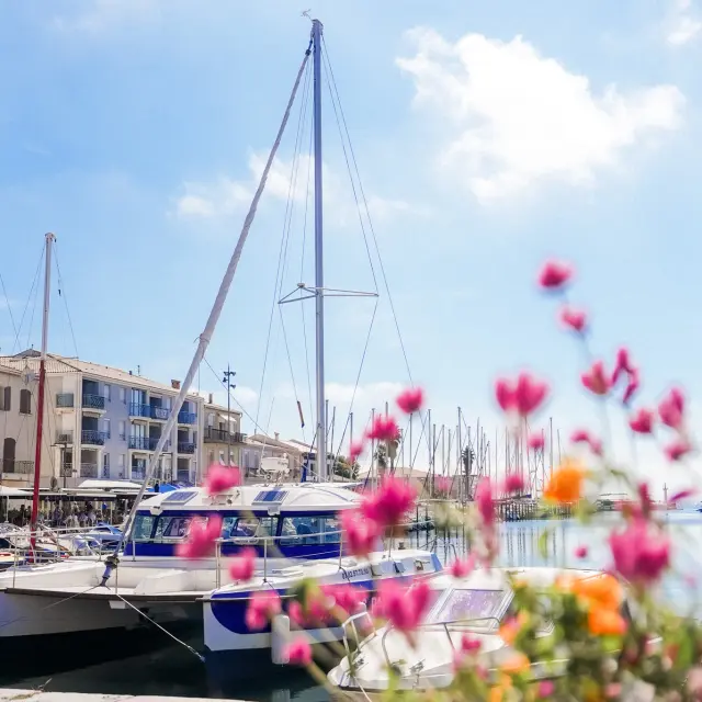 Visite des parcs à huites avec le Mansathau, Mèze, étang de Thau, port, bateaux, fleurs, végétation, premier plan, ville, quai, eau, paysage, tourisme, extérieur, vertical
