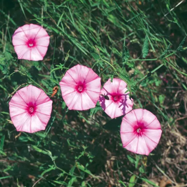 800x600 02 6953601