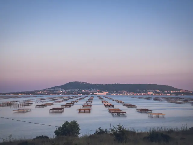 Vue des parcs à huitres et sur le Mont Saint-Clair, coucher de soleil