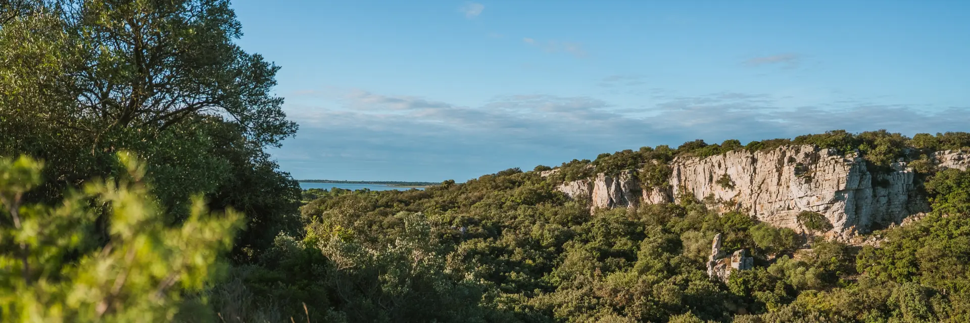Creux de Miègeà Mireval, randonnée