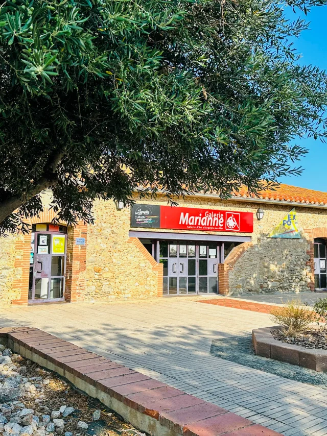 Galerie Marianne Argelestourisme Juliette Laurent 7448