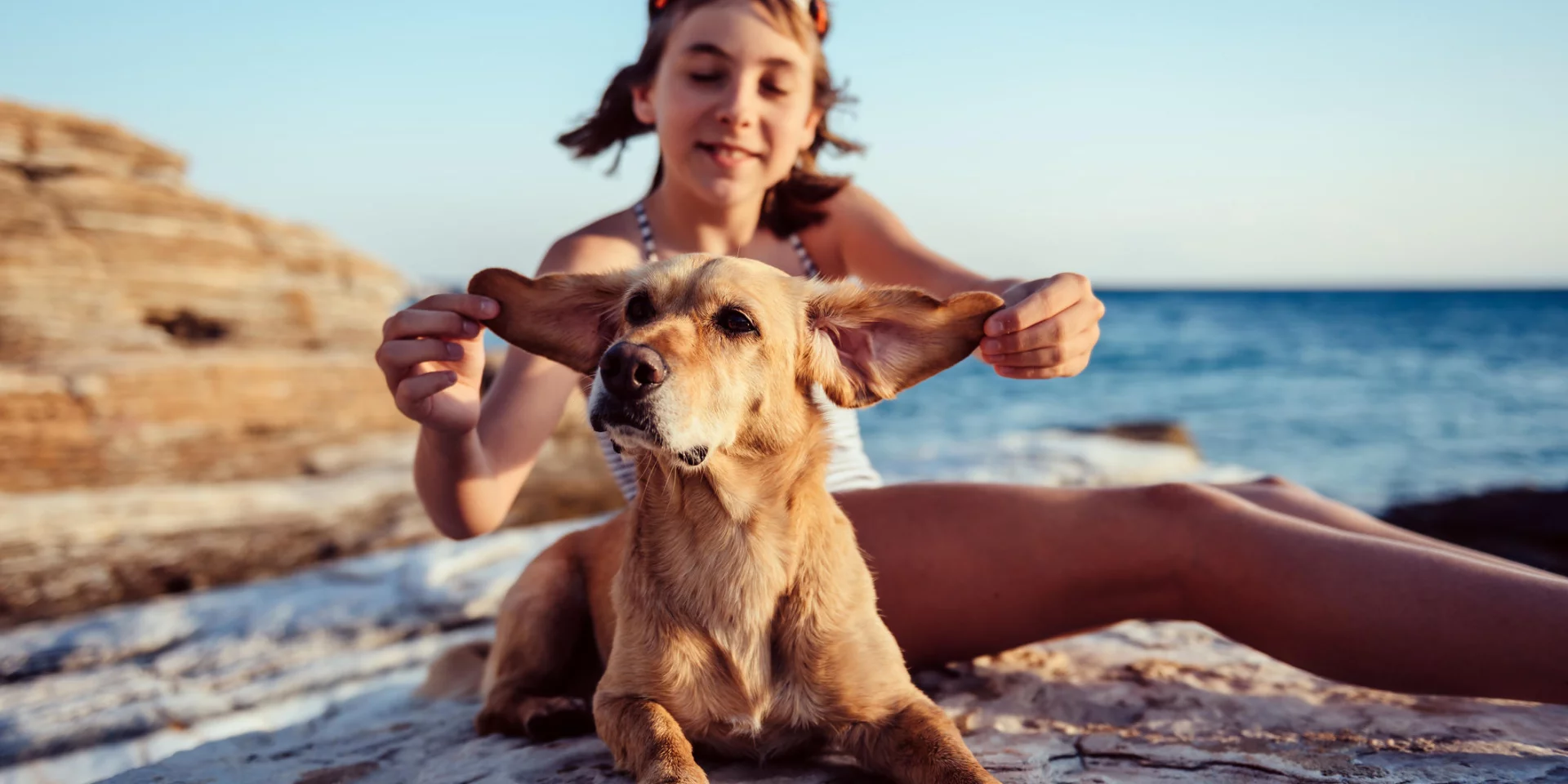 Plages Autorisees Aux Chiens Argeles Sur Mer