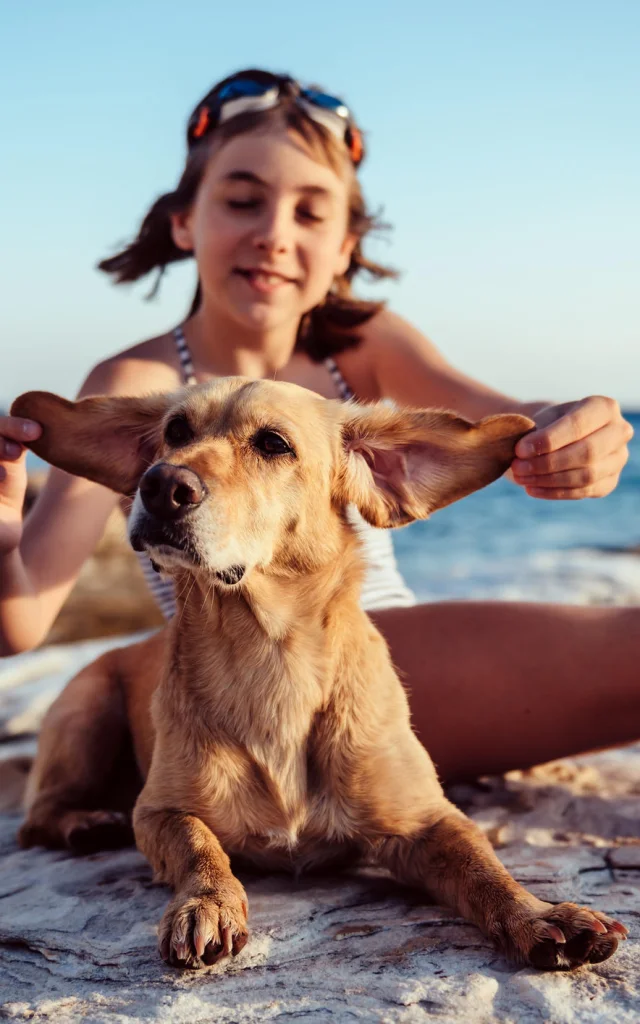 Plages Autorisees Aux Chiens Argeles Sur Mer