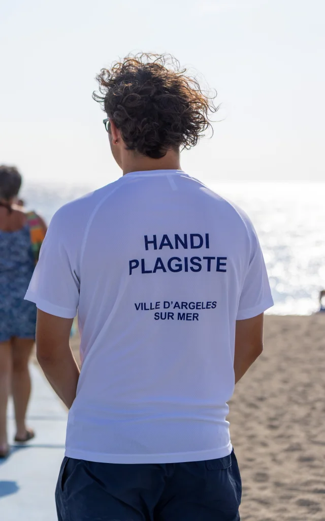 Handiplage