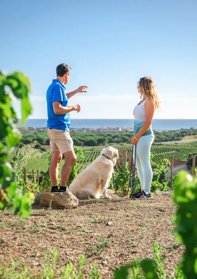Randonnee Avec Chien Argelestourisme Marion Carcel Foehn Photographie 111617