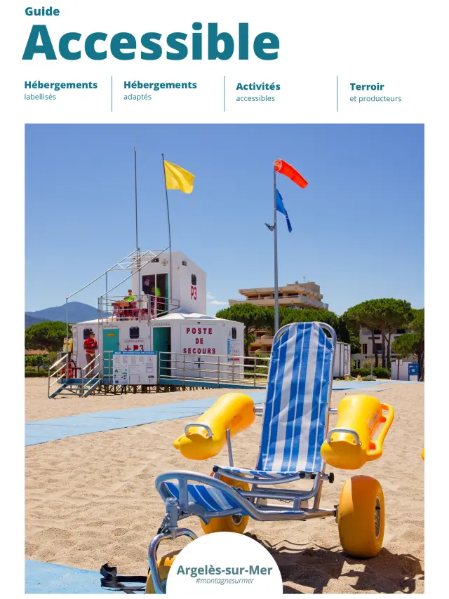 Couv Guide Accessible