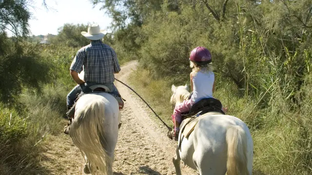 un groupe d'enfants se promènent à cheval en Camargue