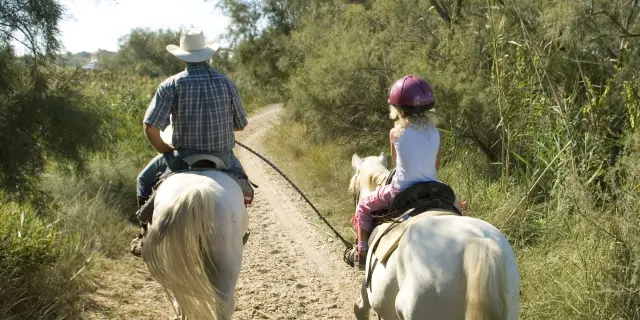 un groupe d'enfants se promènent à cheval en Camargue