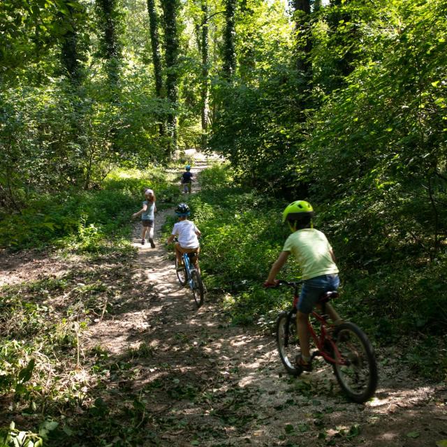 Bike ride in Misérieux's Parc de Cibeins