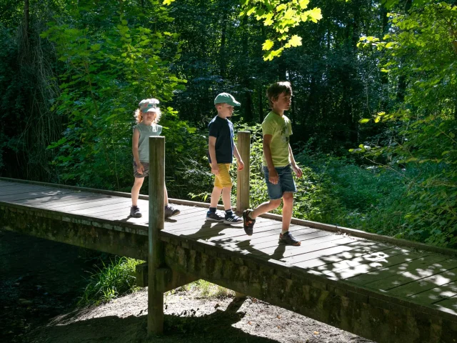 Balade au Parc de Cibeins à Misérieux