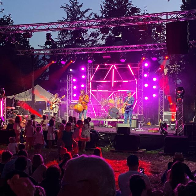 Festival Des vertes et des pas mûres à Fareins