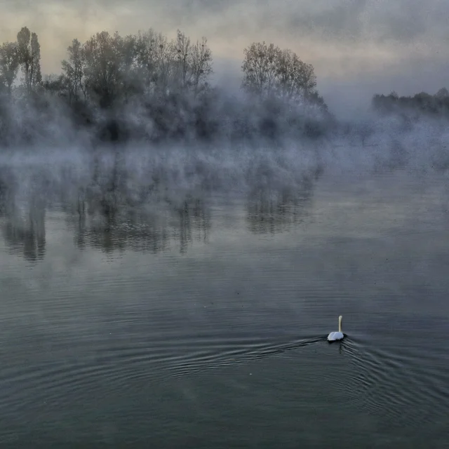 Brume sur la Saône