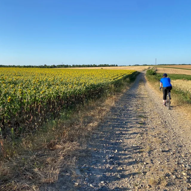 Gravel Sur Le Plateau