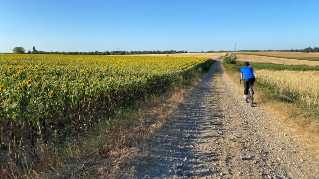 Gravel Sur Le Plateau chemin du terre