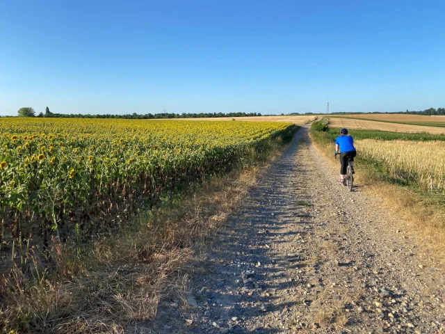 Gravel Sur Le Plateau chemin du terre