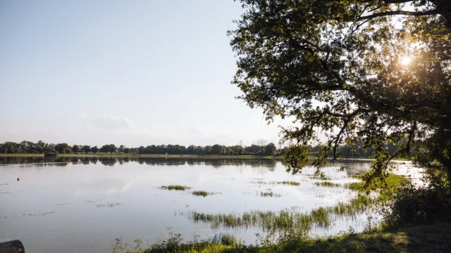 Etangs de la Dombes
