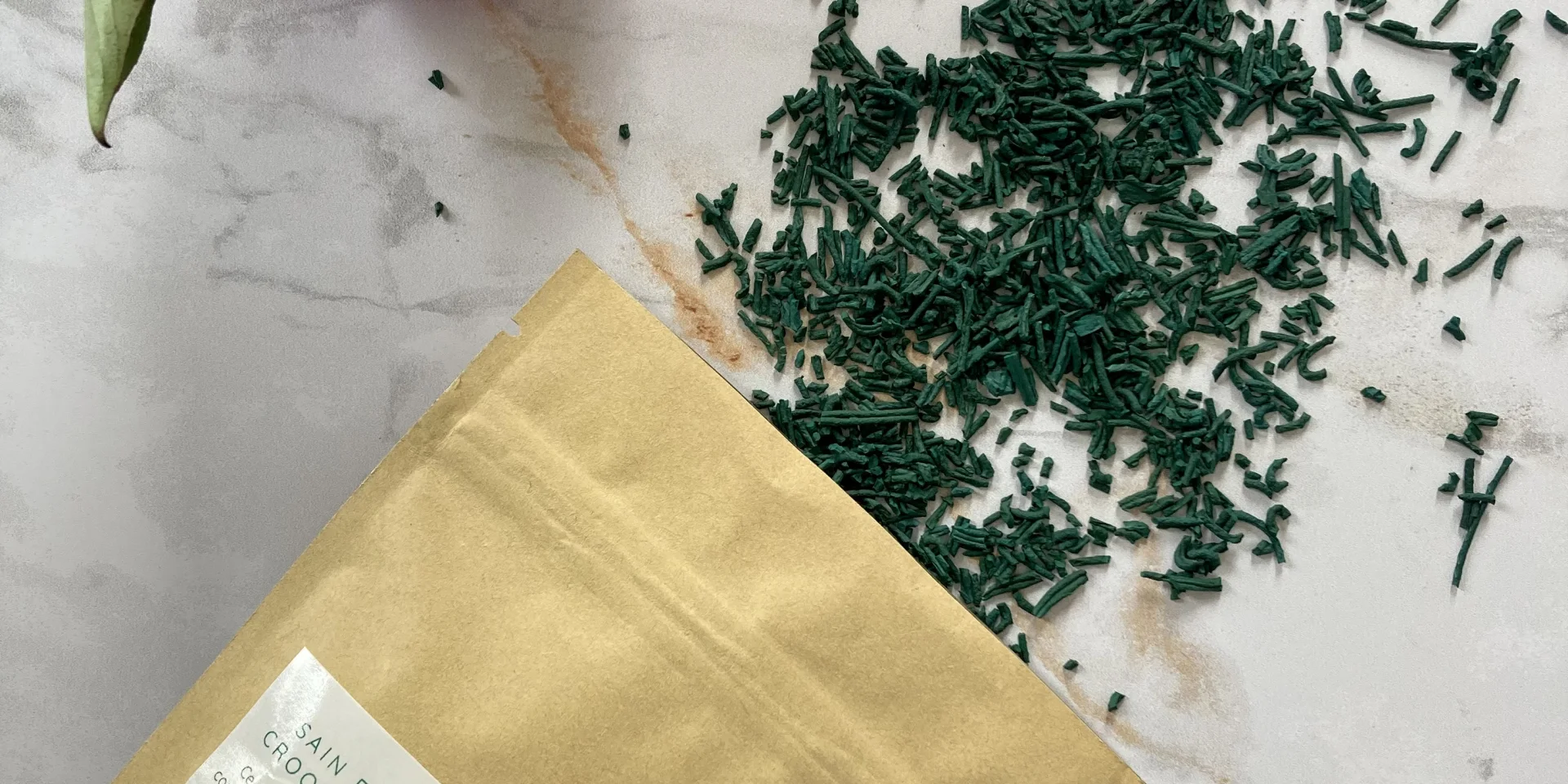 Spiruline Astrée Trévoux (Sachet Spiruline)