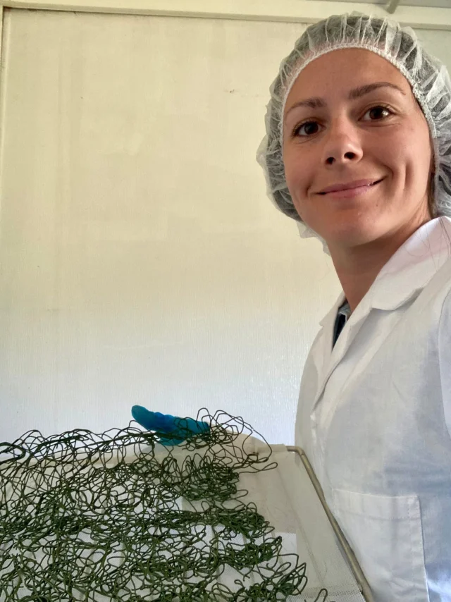 Margaux CAIA, Spiruline Astrée à Trévoux (séchage spiruline)