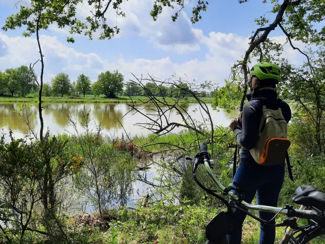 Balade à vélo en Dombes