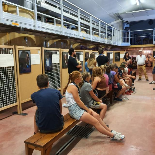 Visite Et Explication Du Vignoble Jeunes Public
