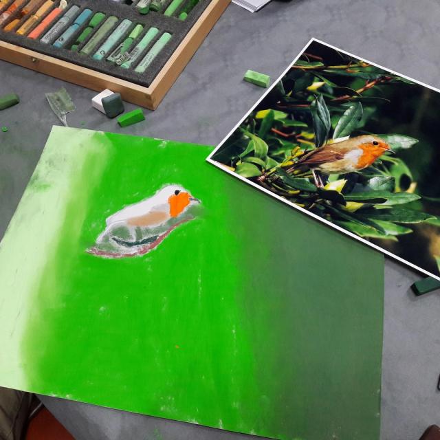 Les Oiseaux Ateliers Dessin