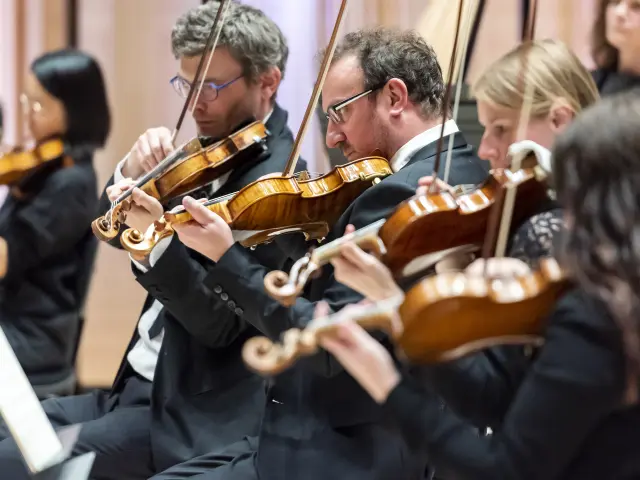 Seibastien Gaudard Sg79952 2