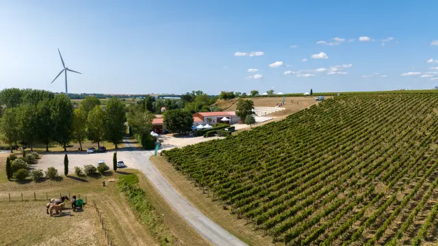 Festival Arts Par Nature Mehdi Media 2023 348