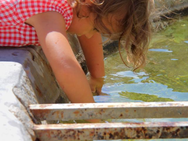 Jeune enfant jouant avec l’eau d’une fontaine en pierre à Cadolive, sous le soleil.