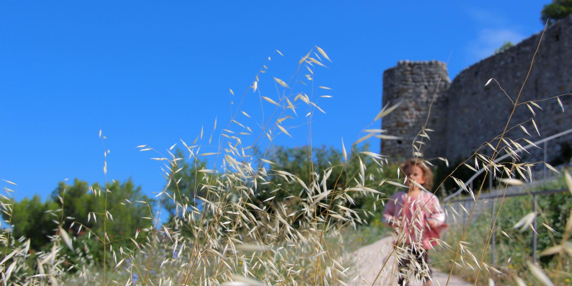 Nature Chateau Peypin Oti Aubagne