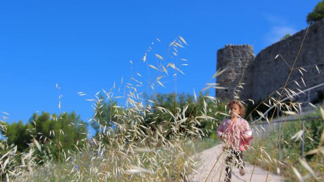 Nature Chateau Peypin Oti Aubagne