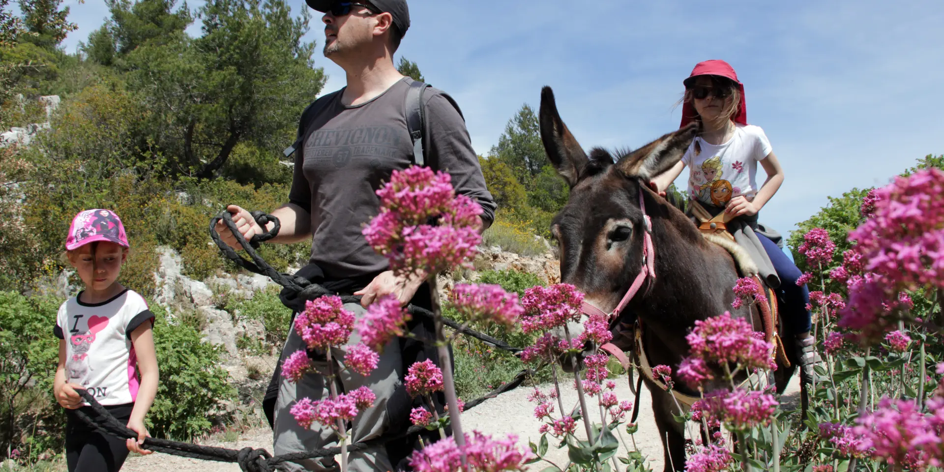 Anes Balade Fleurs Garlaban La Font De Mai Oti Aubagne