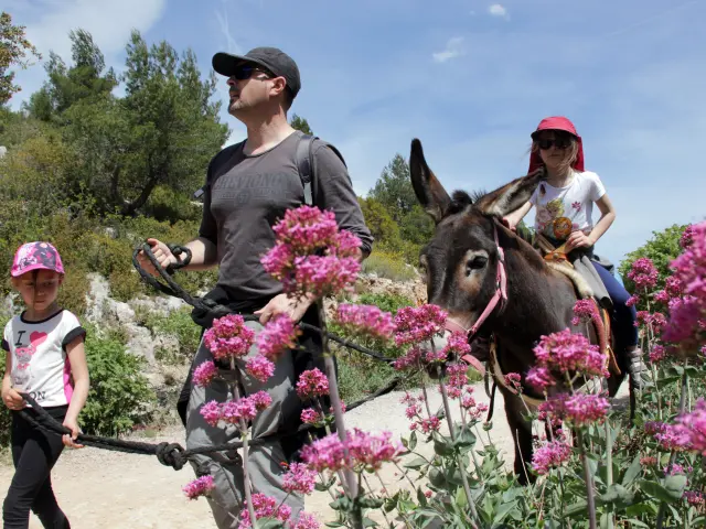 Anes Balade Fleurs Garlaban La Font De Mai Oti Aubagne