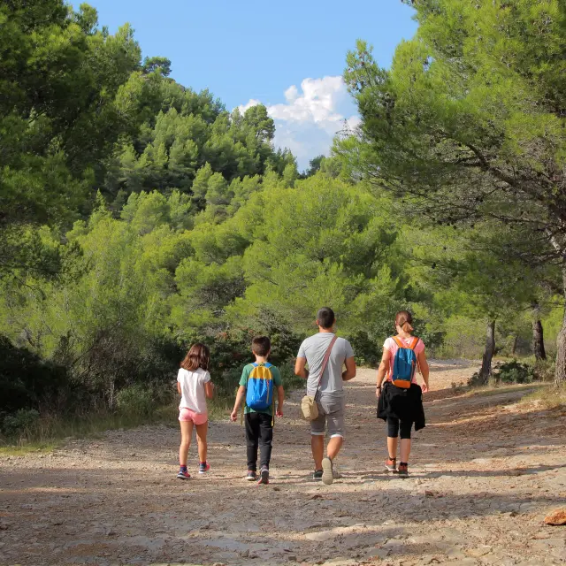 Groupe familial marchant sur un sentier entouré de pins et de végétation en pleine nature.