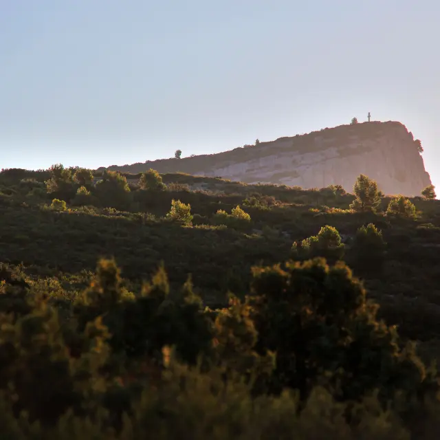 Vue du massif du Garlaban en Provence, colline rocheuse éclairée par la lumière dorée du lever du soleil, entourée de végétation méditerranéenne.