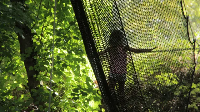 Enfant Parc D'attractions Bois Des Lutins Peypin Oti Aubagne