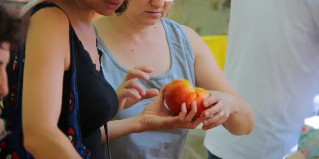 Tomate Marche Auriol Oti Aubagne