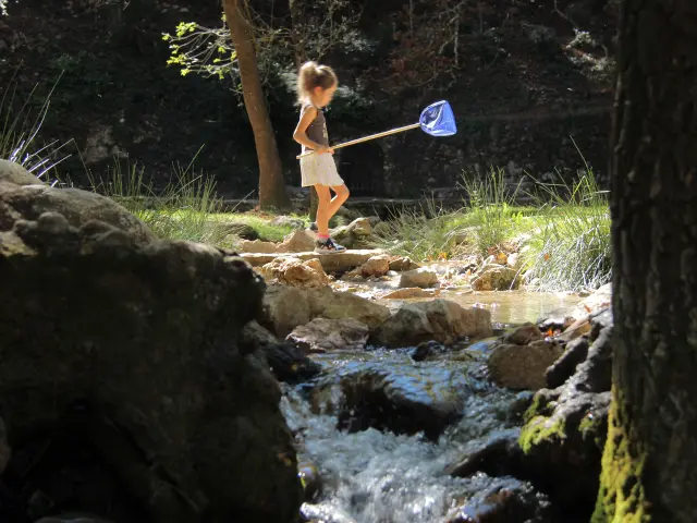 Enfant jouant près de l’eau à la source des Nayes, site naturel de détente en famille à Saint-Zacharie.